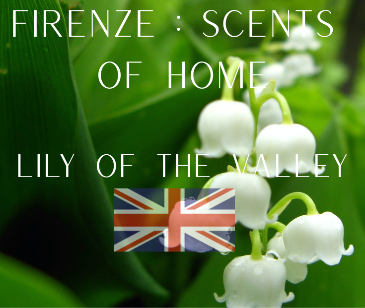 Scents of Home: Lily Of The Valley Extra Large Candle