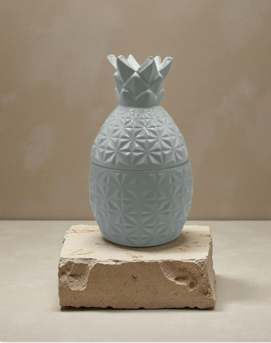Clearance White Pineapple Jar Candle