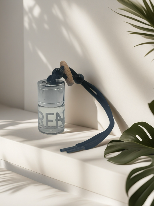 Signature Car Diffuser - Silver